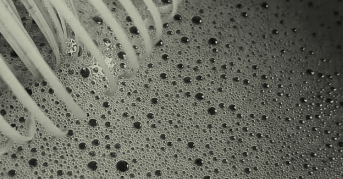 5 Surprising Facts About Matcha