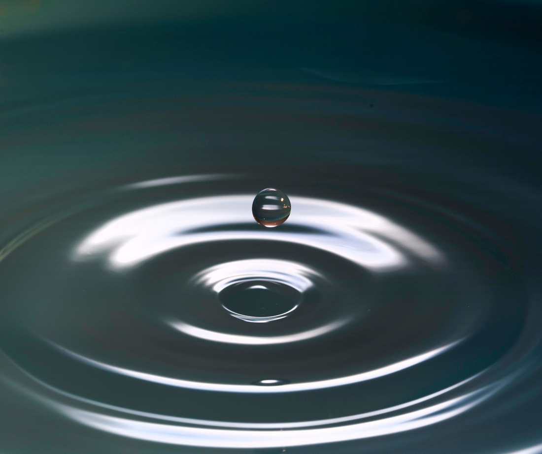 In Through The Nose: The Surprising New Science of Nose Breathing