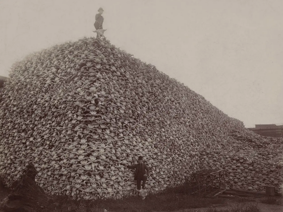 Lessons From My First Montana Elk Hunt