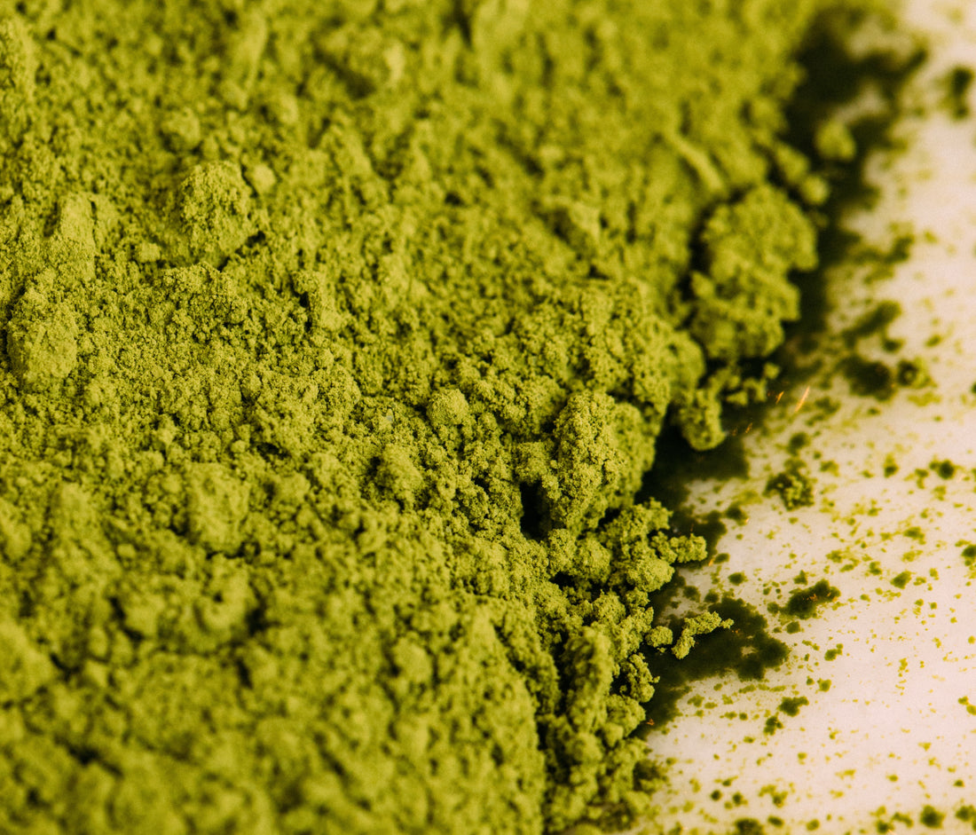 Unlocking the Magic of Matcha: Benefits, Grades and Brewing Tips
