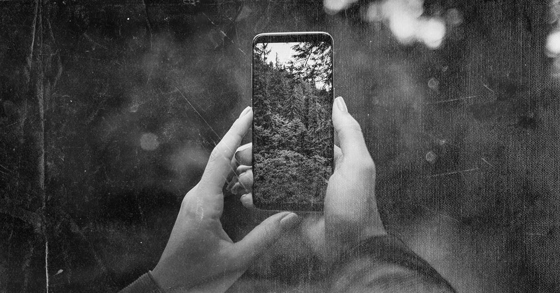 Steinbeck Had His Dog. I Had My Device.