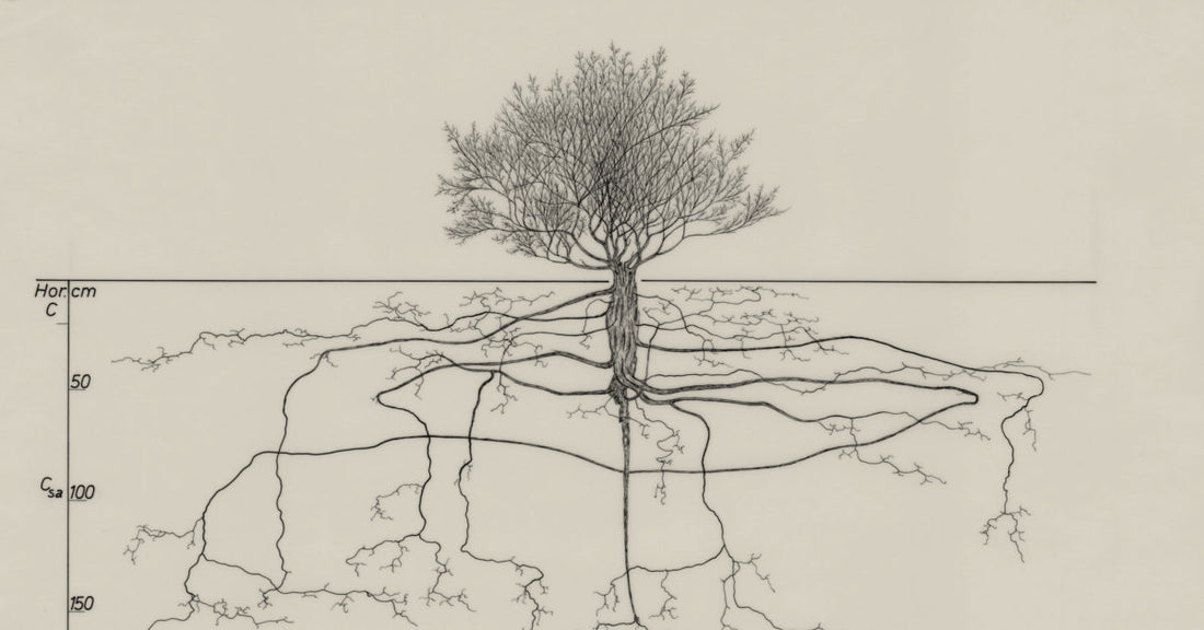 The Benefits of Gratitude in the Workplace