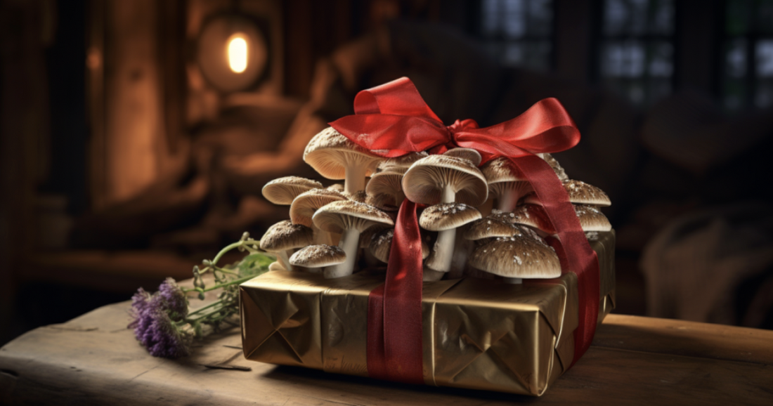 4 Ways to Make Gifts More Meaningful, According to MUD\WTR