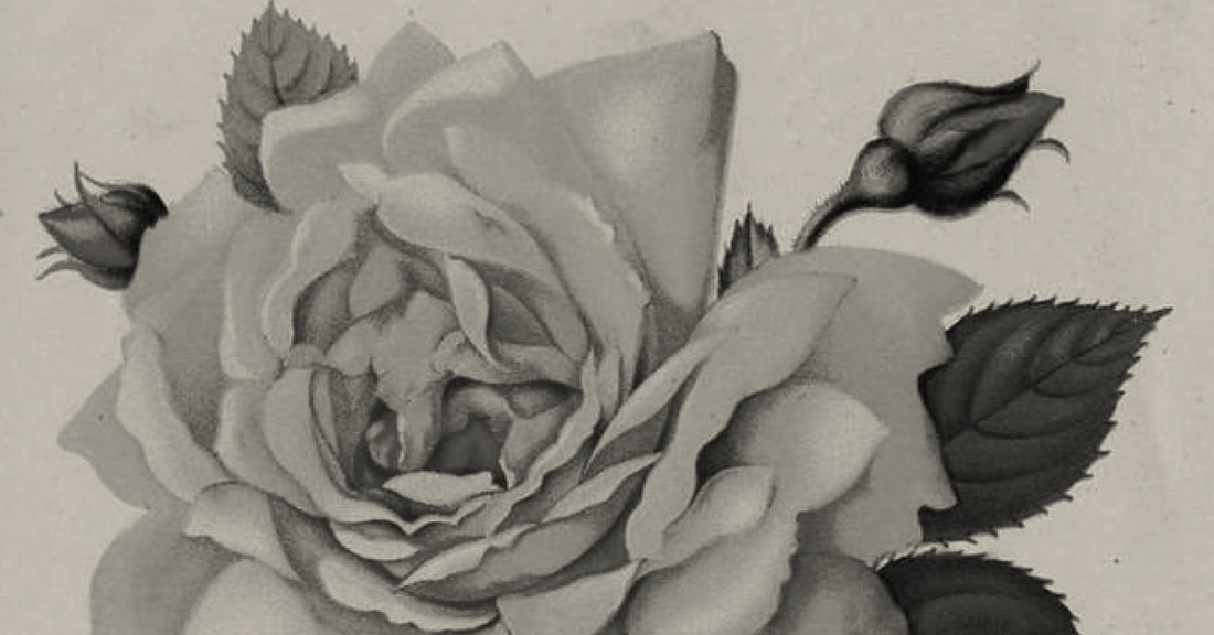 Therapists’ Self-Love Tips (for Valentine’s Day and Beyond)