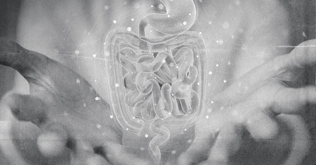 What to Know About the Gut Biome