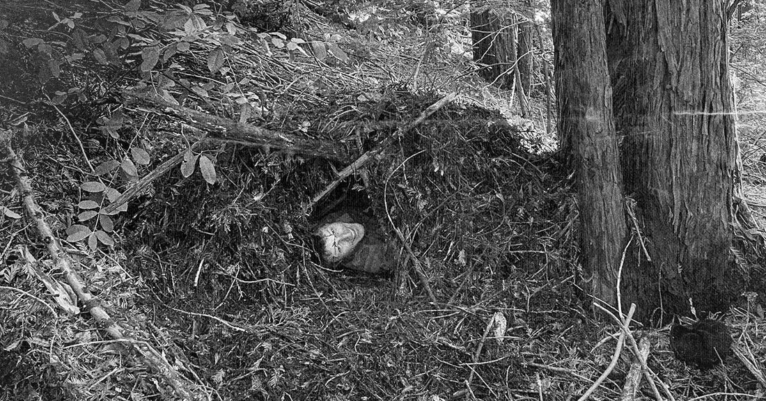 How to Survive a Night in the Wild