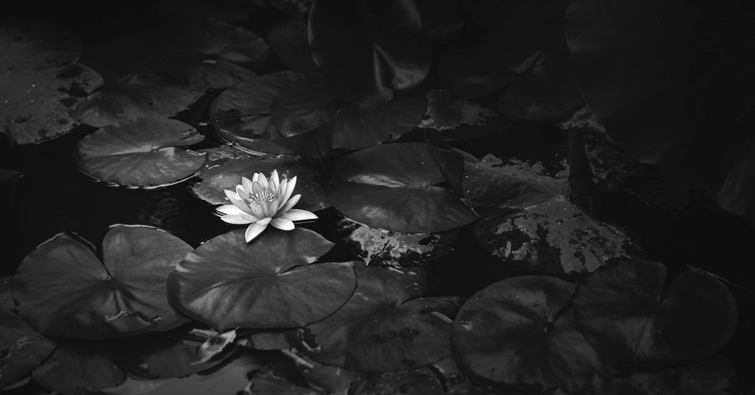 Raghu Appasani’s Mindful Path