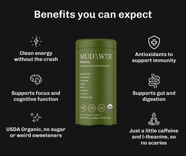 How Cordyceps Gives You Energy Without the Crash: A Beginner'S Overview