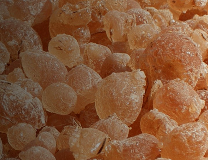 Acacia Fiber