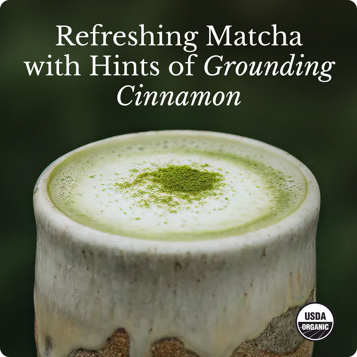 Matcha Starter Kit – MUD\WTR