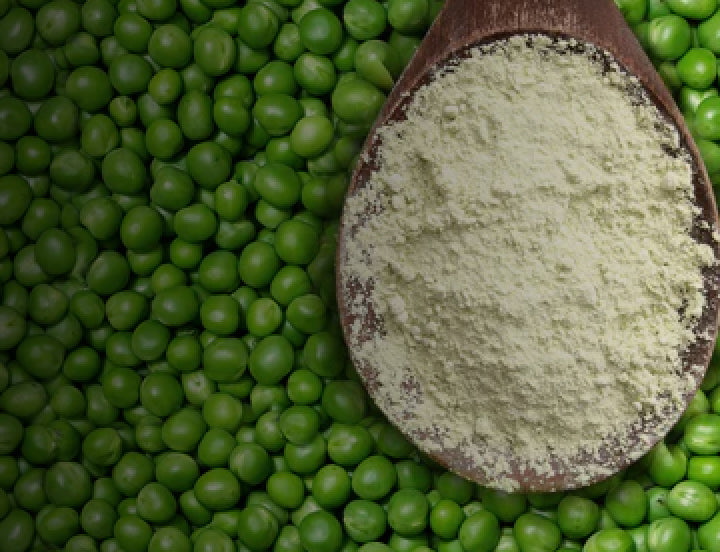 Pea & Brown Rice Protein