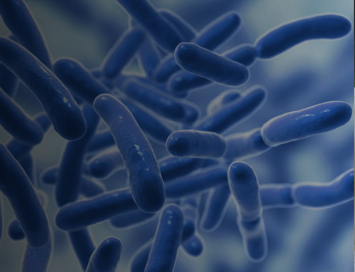 Probiotics