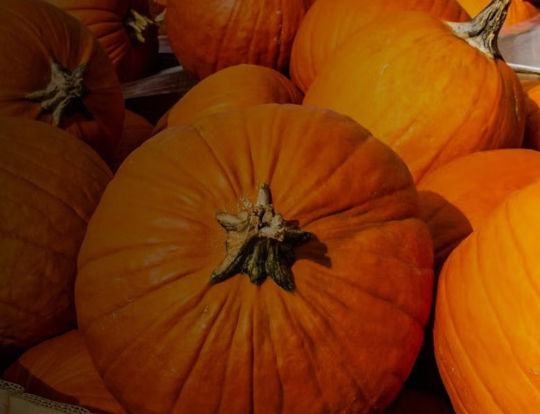 Real Pumpkin