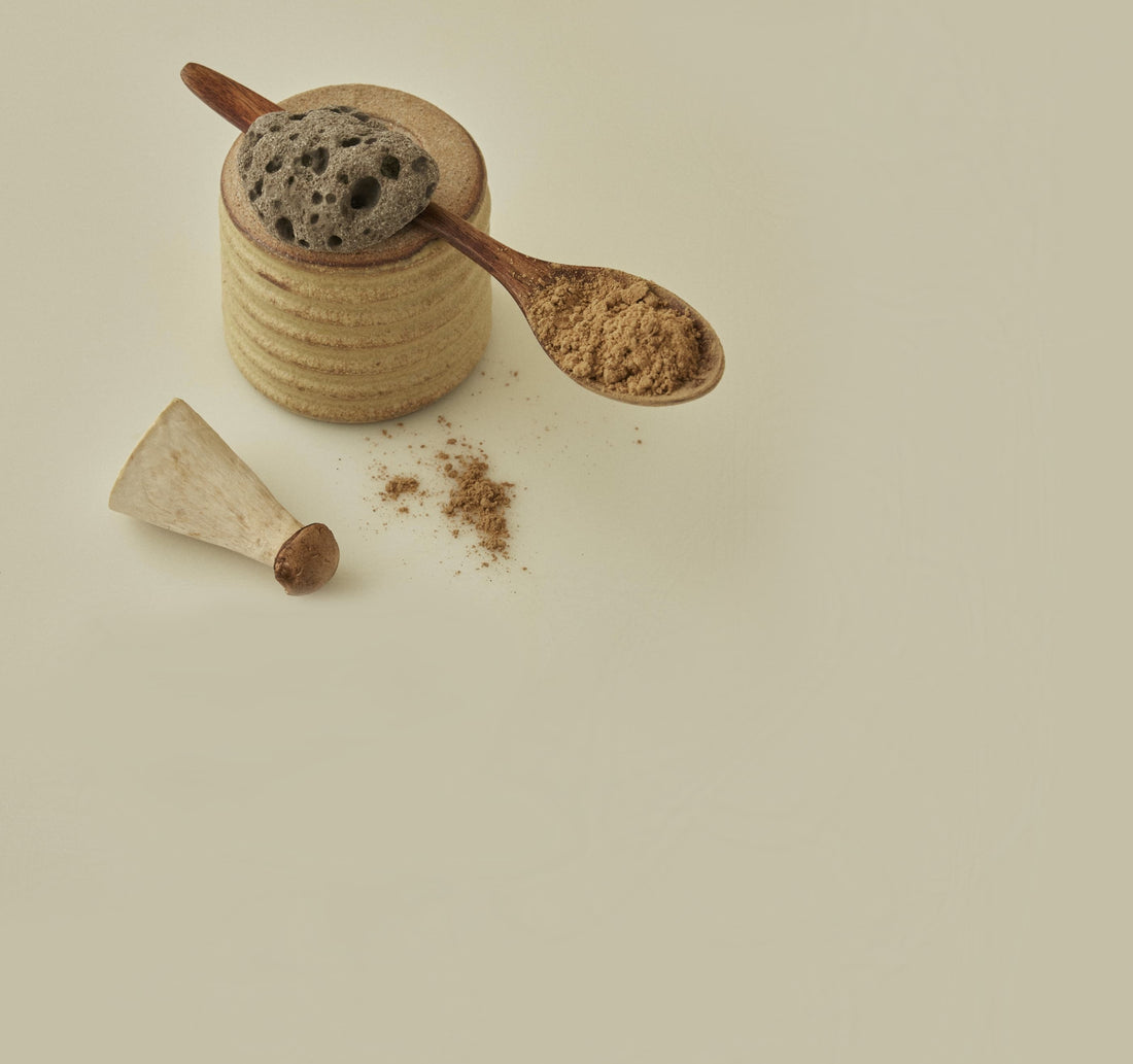 mushroom boost powder