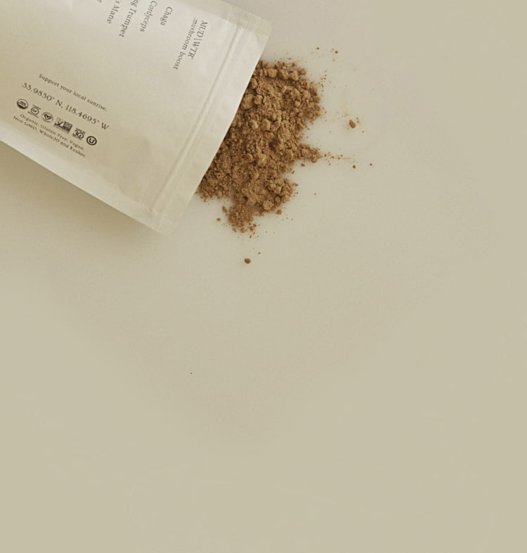 mushroom boost powder