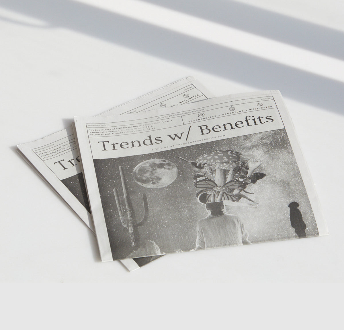 Trends W/ Benefits Newspaper