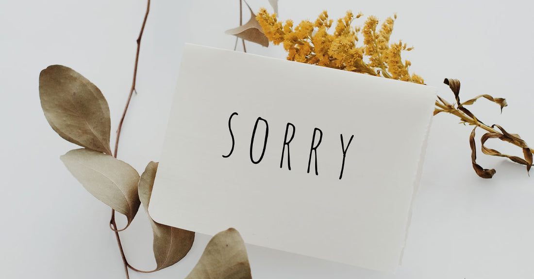 
  How to Apologize
