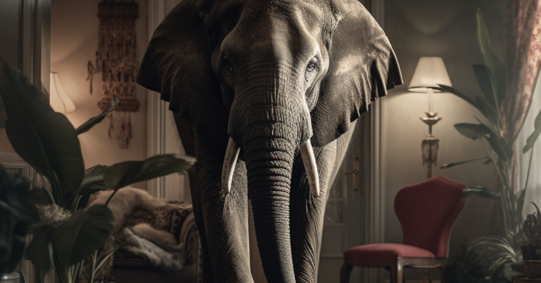 
  An elephant in a room

