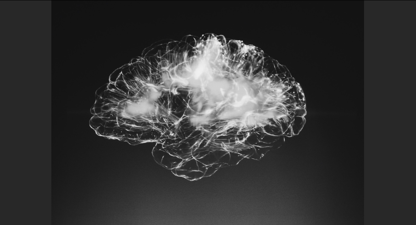 Black and White photo of a human brain