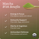 Strawberry Matcha Influencer Kit image 