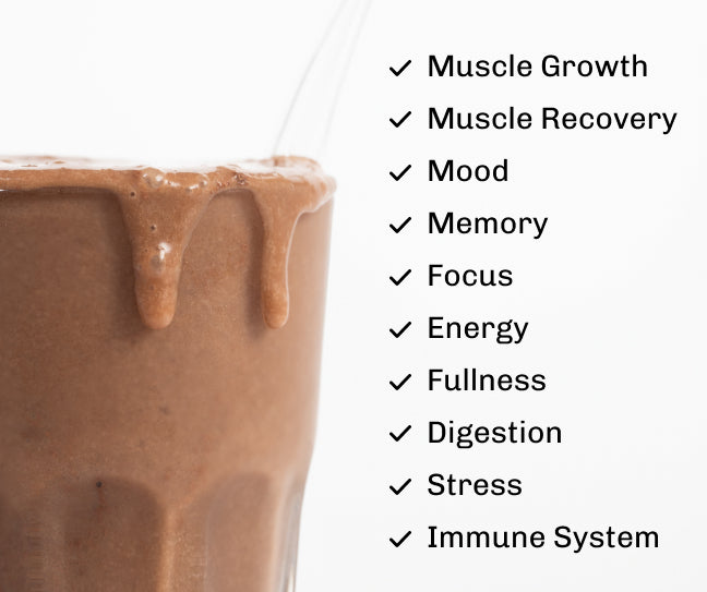 Nourish Chocolate Starter Kit image 
