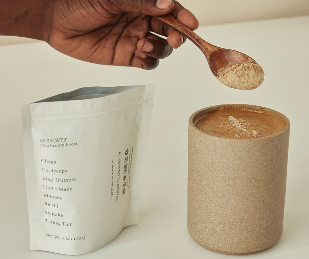 Mushroom Boost (30 serving) – MUD\WTR
