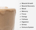 Nourish Vanilla image 