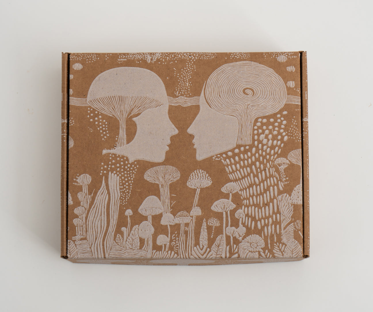 Pumpkin Spice Latte Kit image 