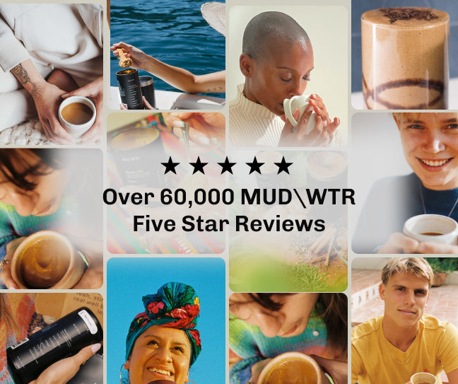 Original (90 serving) – MUD\WTR