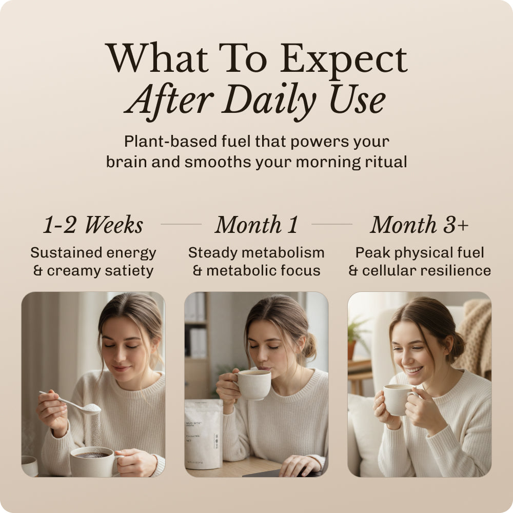 Coconut Creamer (30 serving) image 