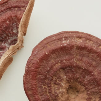 Reishi