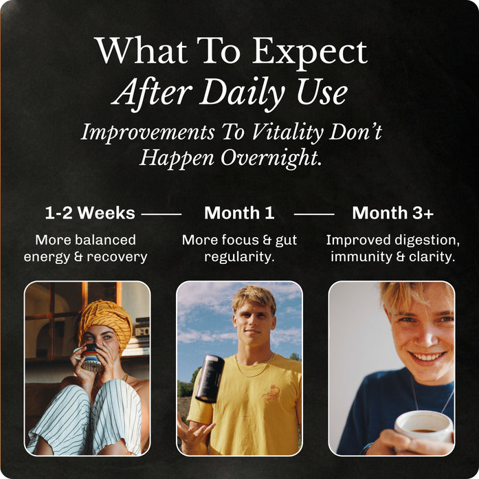 Original Starter Kit image 9