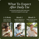 Matcha Starter Kit image 