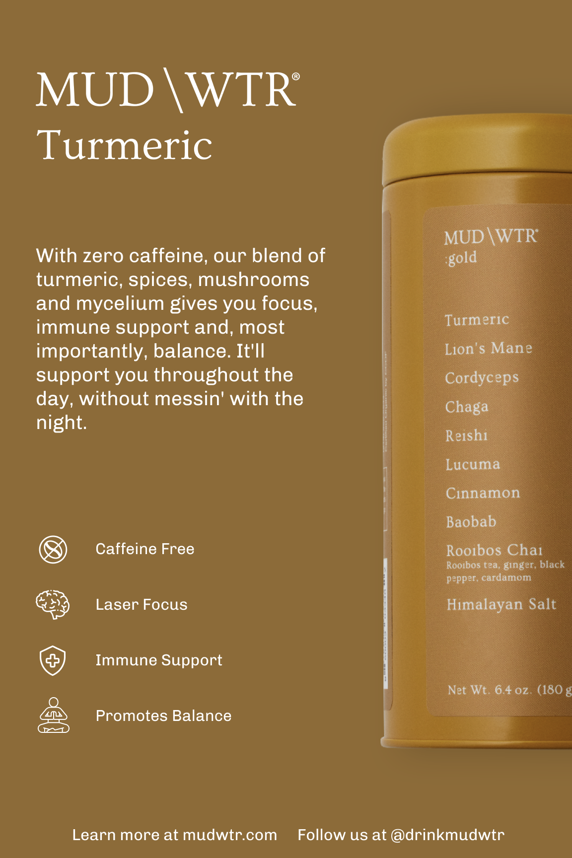 Turmeric Info Cards for Servers (25 Pack) image 1