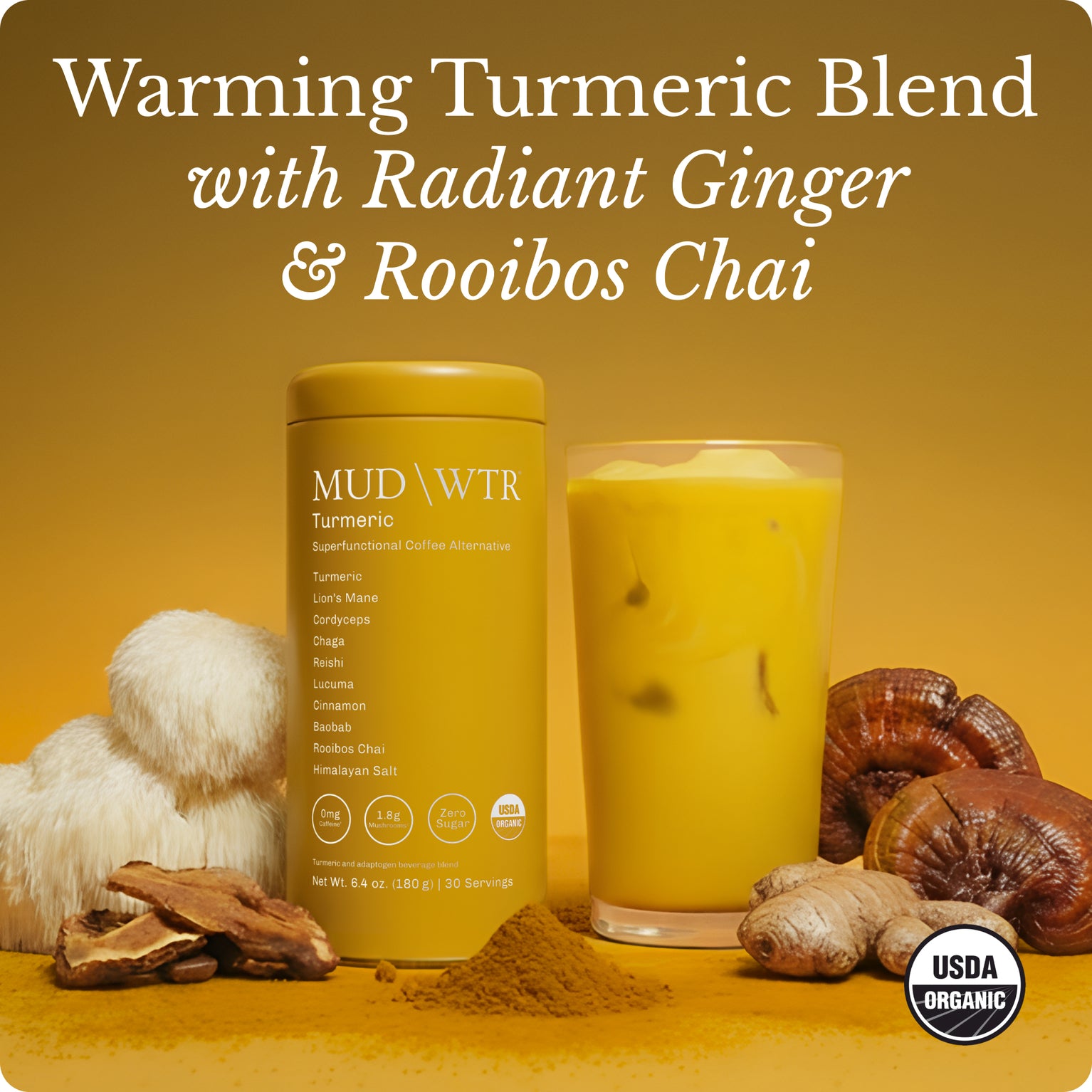 Turmeric (30 serving) image 