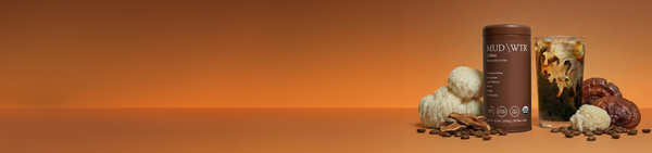 Meet <i>Coffee</i> +