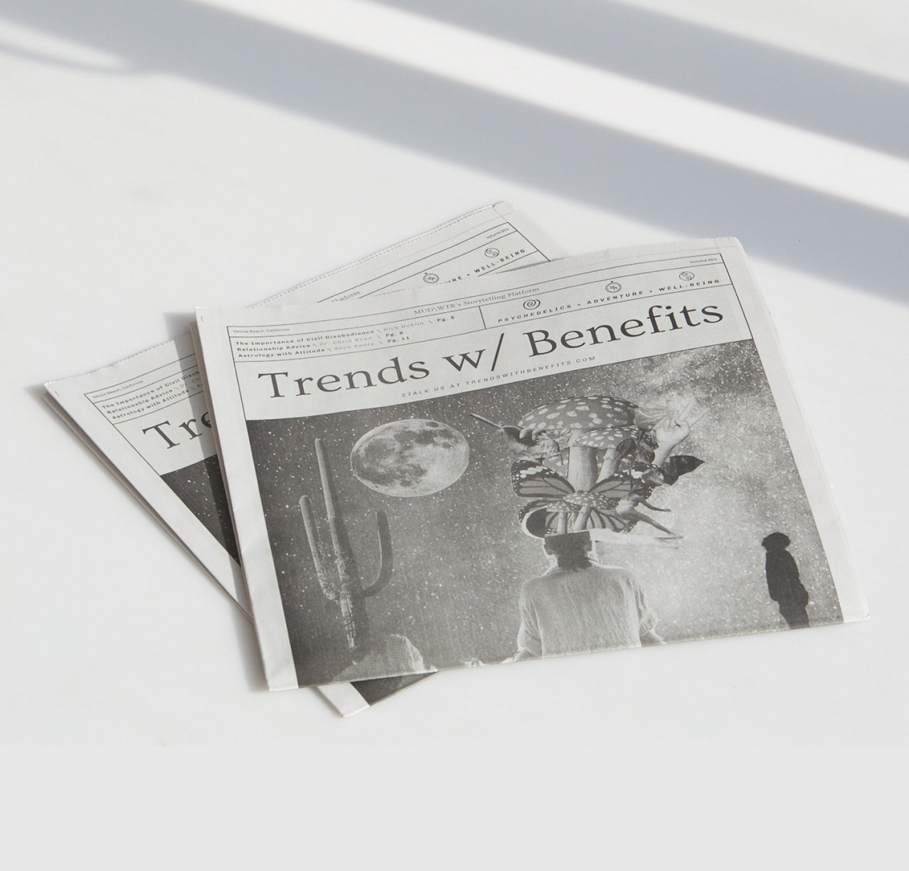 Trends w/ Benefits Newspaper